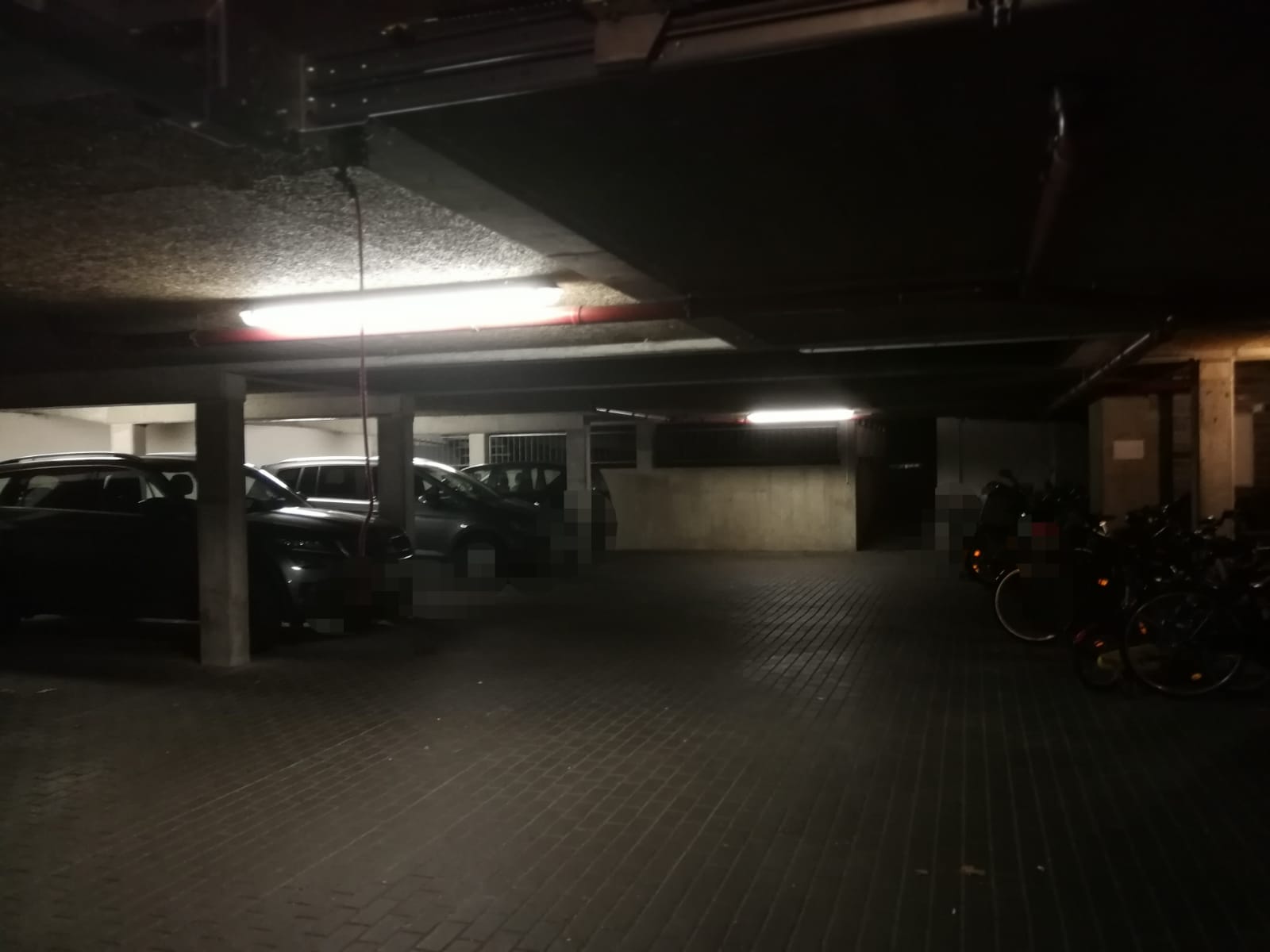 Florakiez – Bild 1